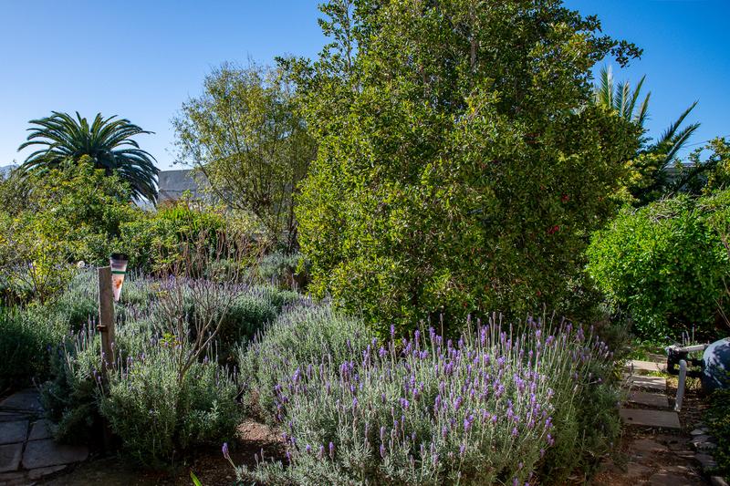 4 Bedroom Property for Sale in Riviersonderend Western Cape